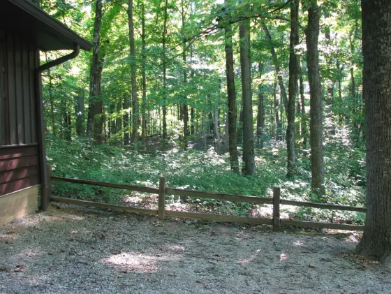 A cabin beside the woods with a split-rail fence